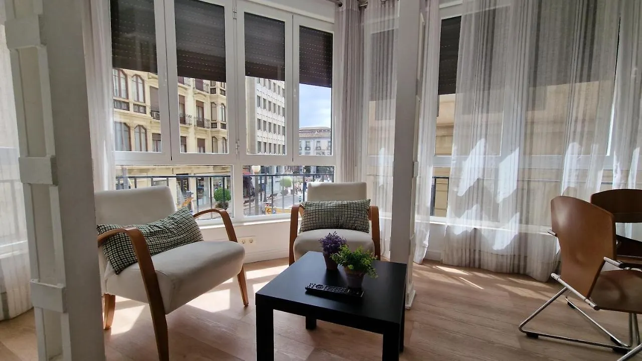 Imeda Reyes Catolicos Apartment Granada