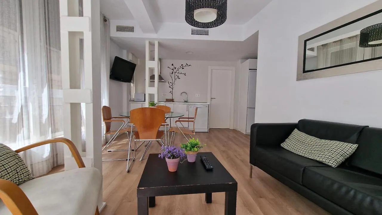 Imeda Reyes Catolicos Apartment Granada 0*,